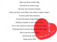 /album/fotogalerij-nieuwste-gedichten/gedicht-fijne-nacht-jpg/